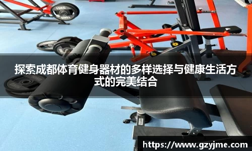 探索成都体育健身器材的多样选择与健康生活方式的完美结合